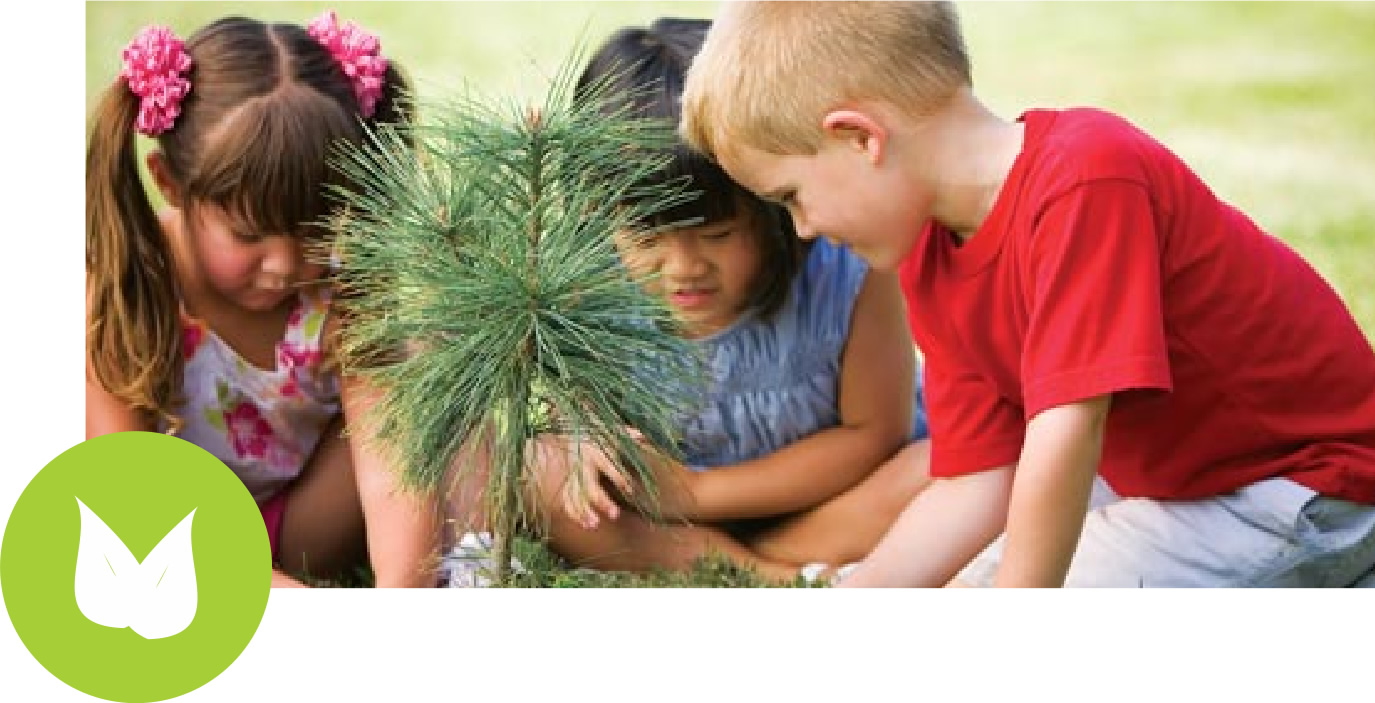 crianças plantando árvore