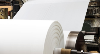 Setor papel e celulose