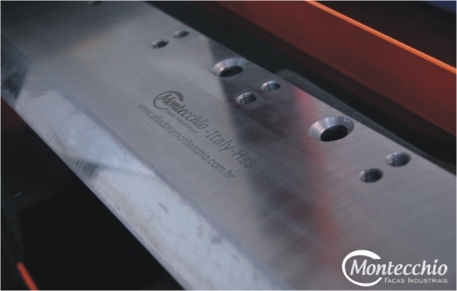 Setor Papel e Celulose